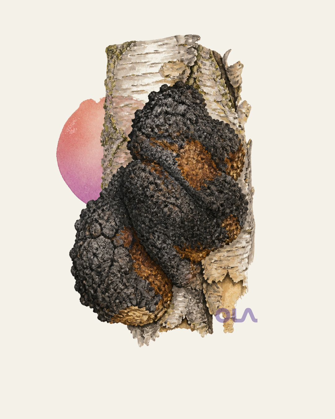 Acuarela botánica contemporánea de Chaga