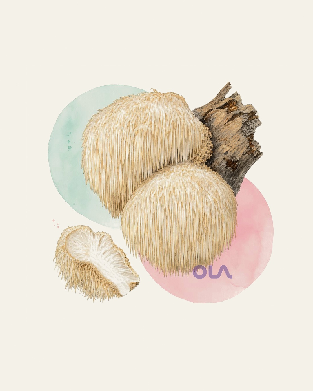 Acuarela micológica contemporánea de melena de león