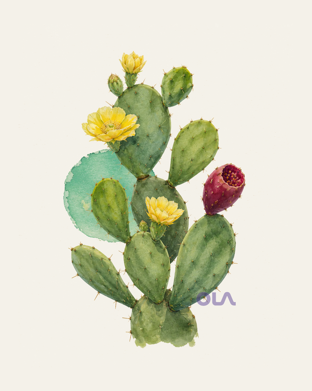 Acuarela botánica contemporánea de Nopal