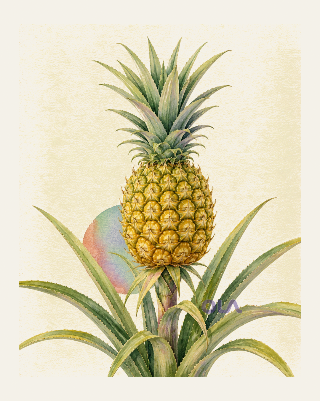 Acuarela botánica contemporánea de Piña